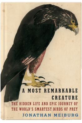 a-most-remarkable-creature-book-shot-small-e1603124259697